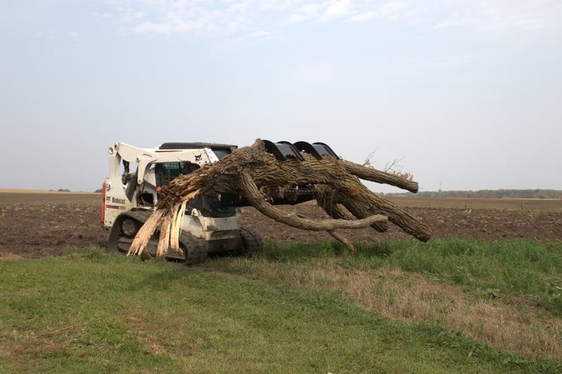 rock and brush grapple