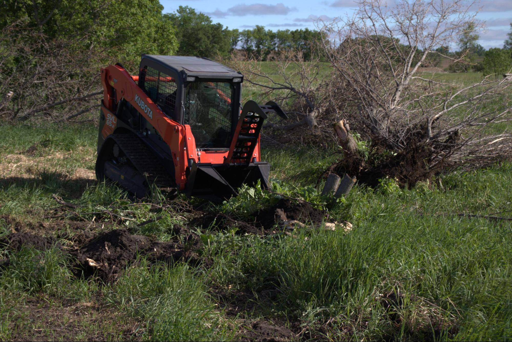 Your Guide to the Best Land Clearing Tools (Without the Fluff)