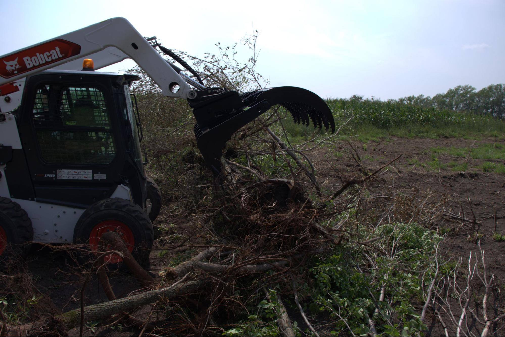 4 Tips For Annihilating a Brush Removal Project With Your Skid Steer