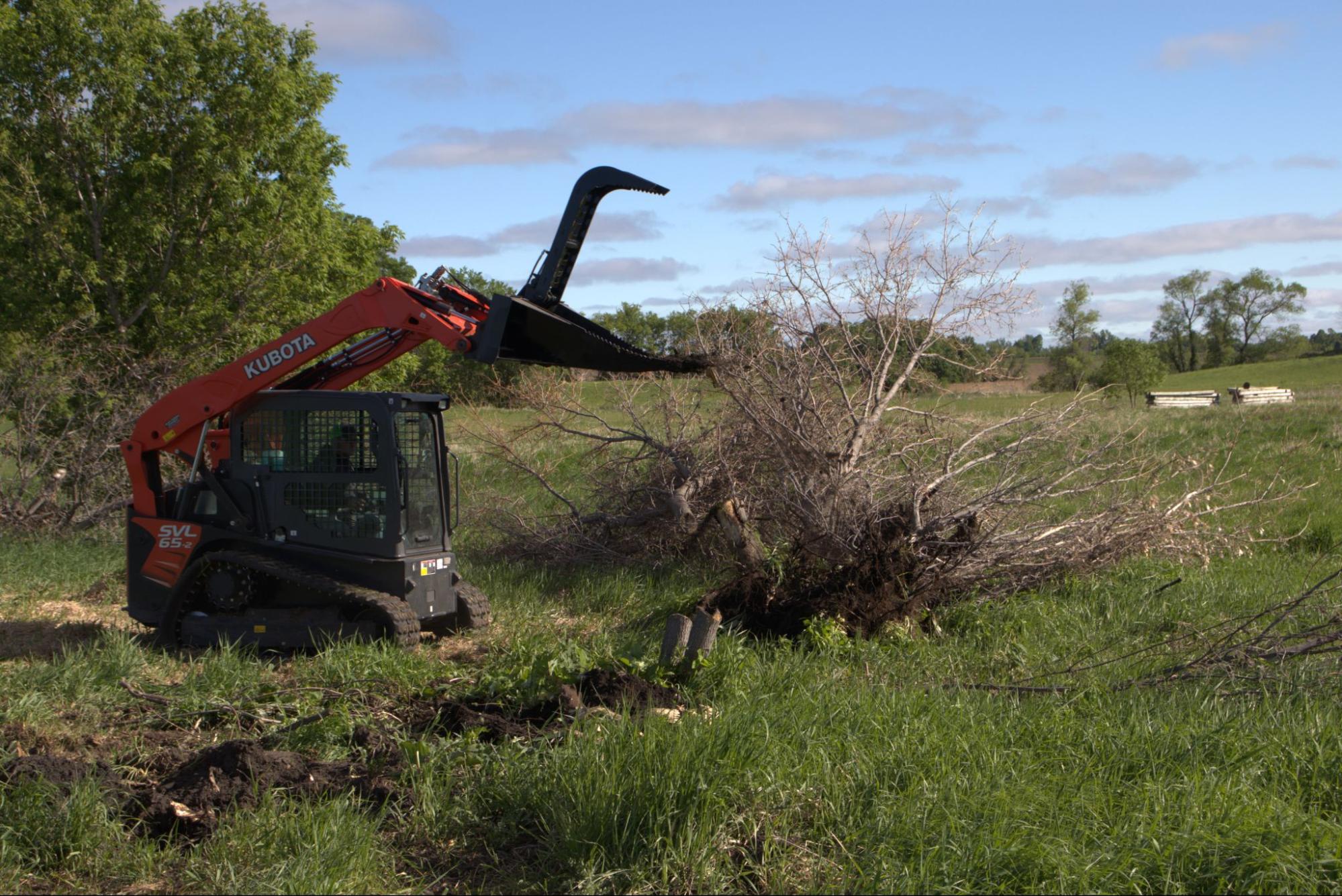 Don’t Wreck Your Site During Tree and Stump Removal (Do This Instead)