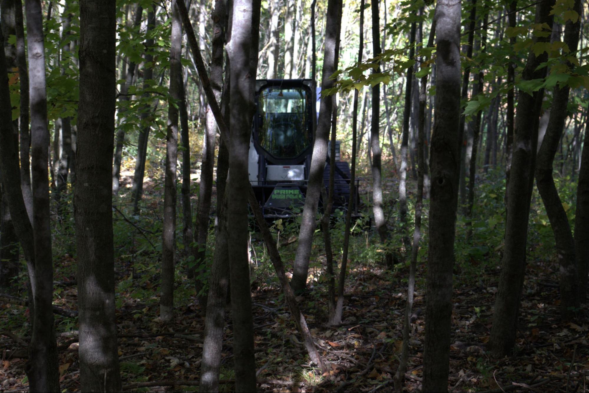 Tree and Brush Removal Attachments for Reclaiming Overgrown Land